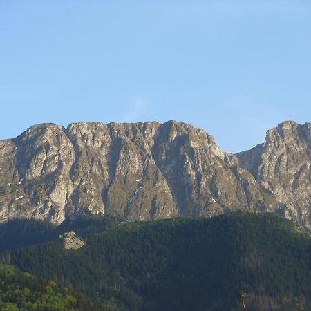 Jedrus Villa Zakopane Exteriör bild
