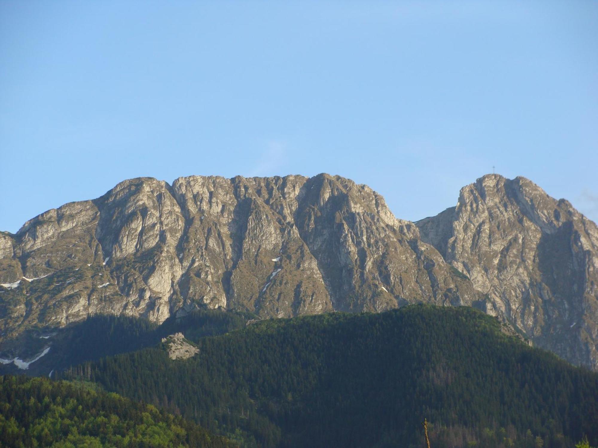 Jedrus Villa Zakopane Exteriör bild